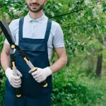 Giardinaggio professionale e arboricoltura: come prendersi cura degli alberi in città