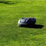 Tagliaerba: 5 Strumenti per Tagliare il Prato