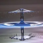 Irrigazione: Come funziona l’Elettrovalvola?