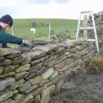 Muri di Confine del Giardino: Come Realizzarli?