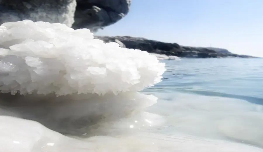 Filtrazione Piscine: Come Filtrare l'acqua nelle Piscine